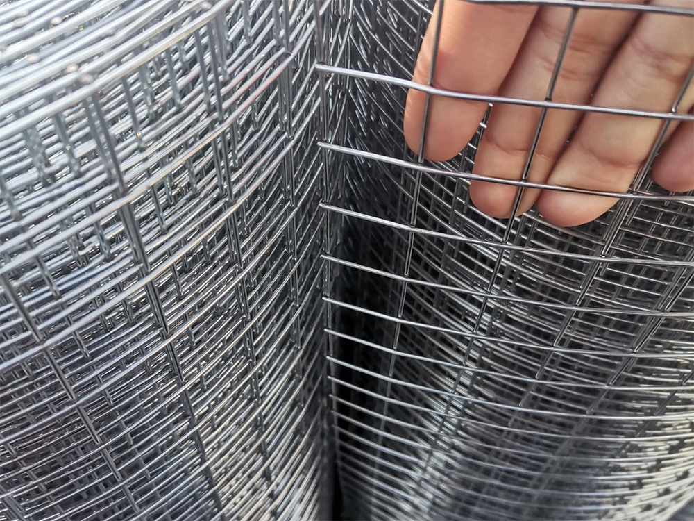 ǽ�������