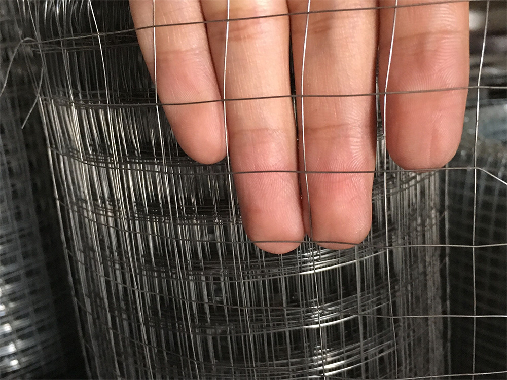 ǽ�������